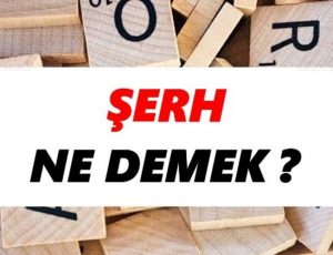 Şerh Ne Demek? Tapuya Şerh Koymak